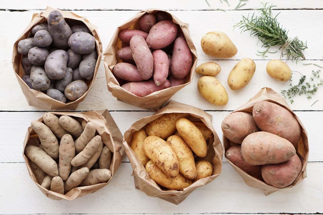What Type Of Potato Is Best For Baking