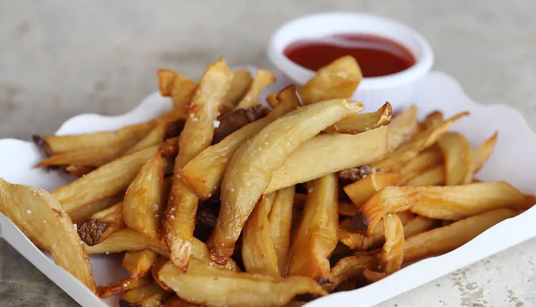 The Delicious Cook's Companion Air Fryer French Fries