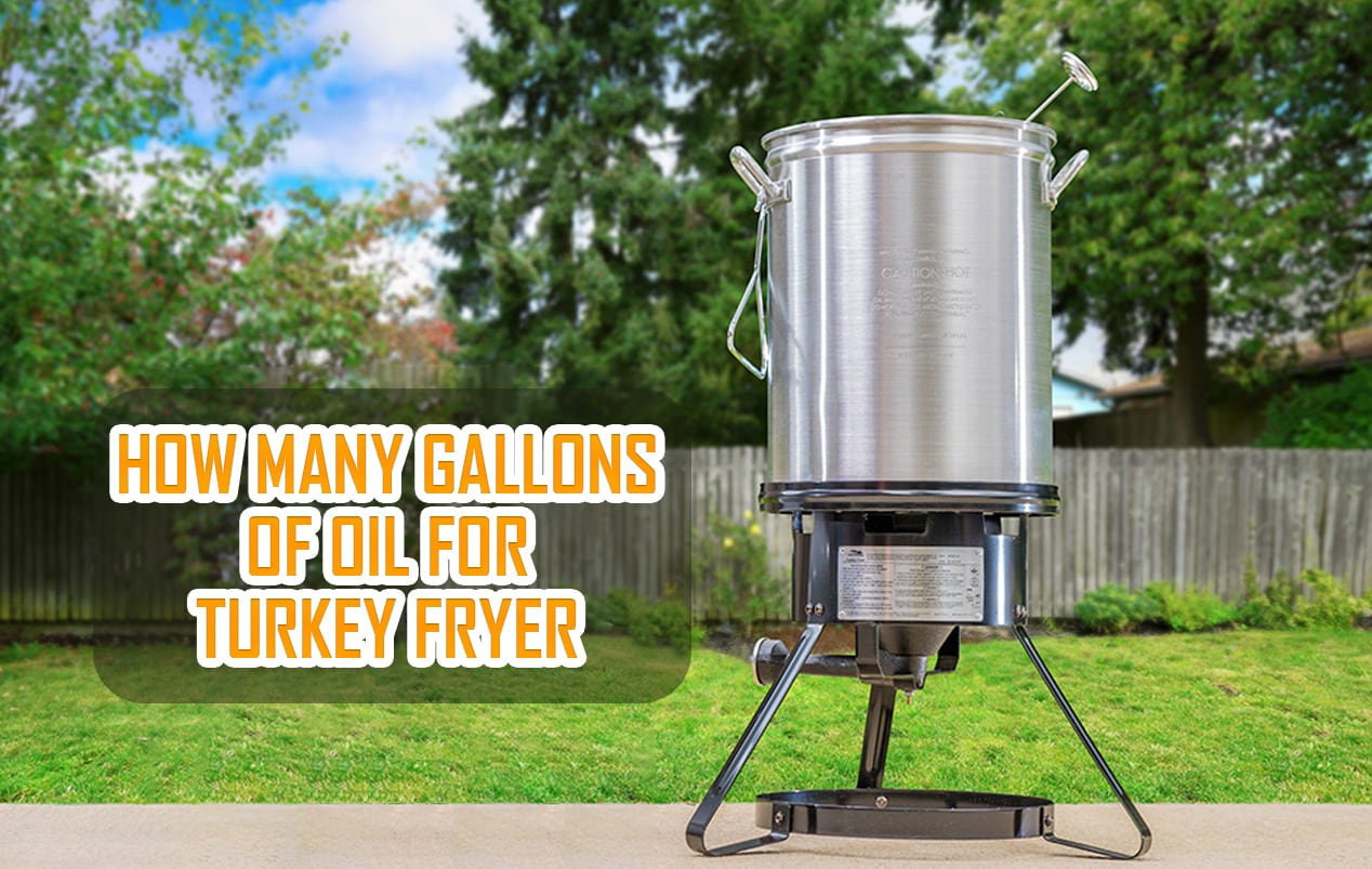 How Many Gallons of Oil for Turkey Fryer, fryerly