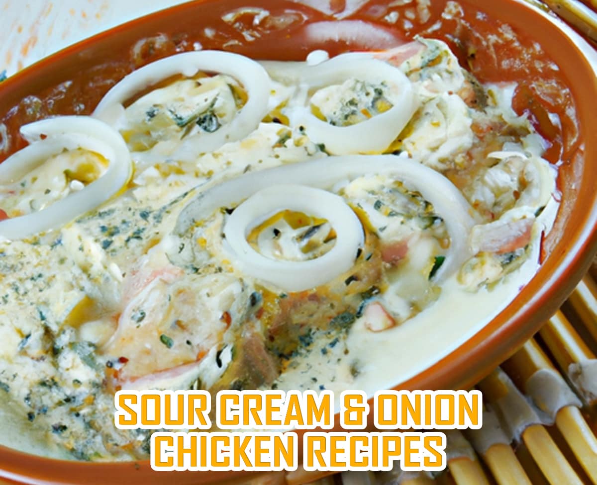 sour creame and onion chicken recipes