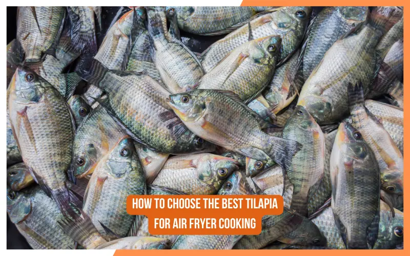How to Choose the Best Tilapia for Air Fryer Cooking?