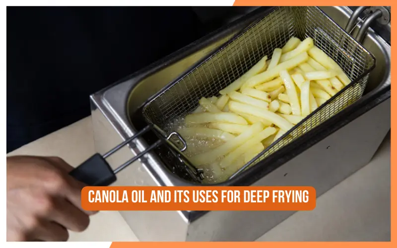 Canola Oil and Its Uses for Deep Frying