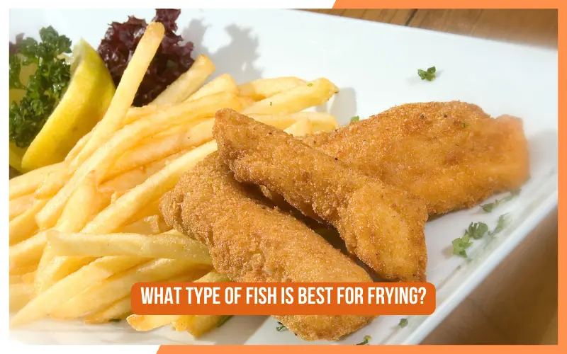 What Type of Fish is Best for Frying?