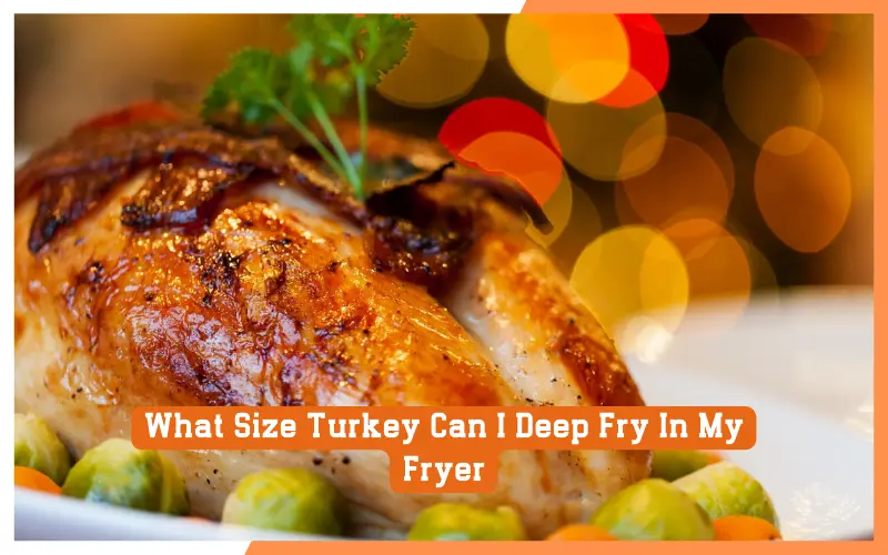What Size Turkey Can I Deep Fry In My Fryer?