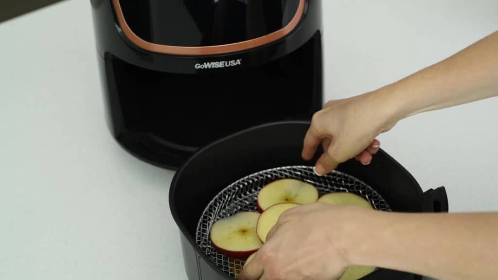 GoWISE Air Fryer Recipes – Crispy and Healthy Recipe