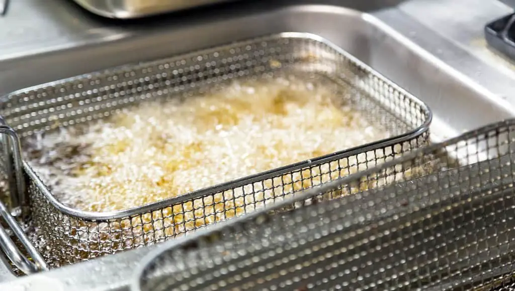 Which-Oils-Can-I-Use-In-My-Deep-Fryer Which Oils Can I Use In My Deep Fryer?