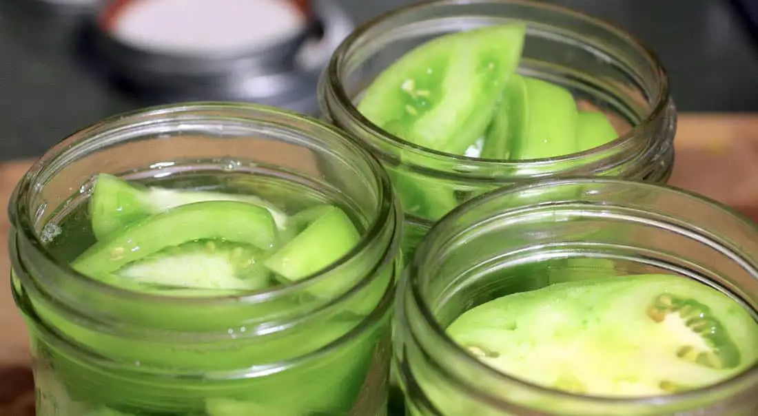 Tips-and-Tricks-for-Fried-Green-Tomatoes Tips to Make Air Fryer Fried Green Tomatoes